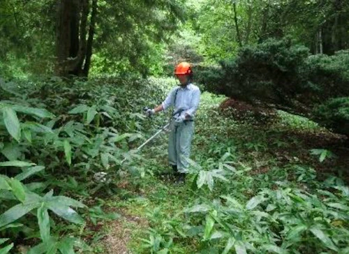 番外編現場セミナー：里山林整備事業の報告の活動写真