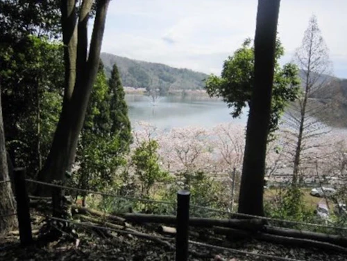 番外編現場セミナー：炭焼体験講座（炭出し）と花見会の活動写真