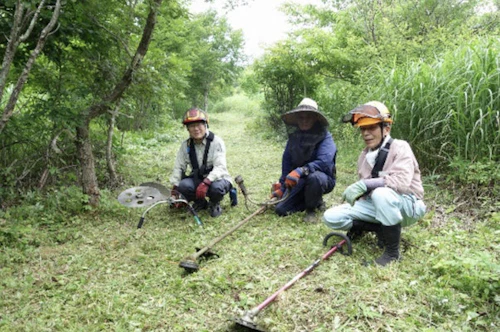 番外編現場セミナー　小室井山登山道の整備（草刈り）の活動写真