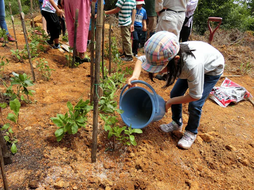 新元号令和記念植樹祭の活動写真