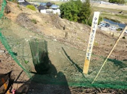 番外編現場セミナー：コウヨウザンの植樹の活動写真