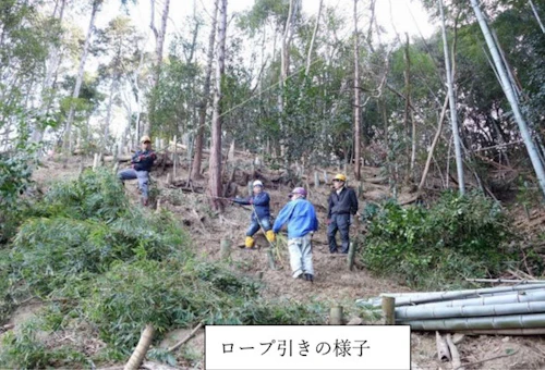 第 271 回現場セミナー： 史跡中小田古墳群の竹等伐採 第６回の活動写真