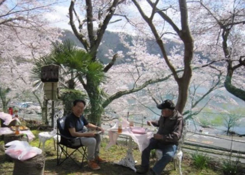 番外編現場セミナー：炭焼体験講座（炭出し）と花見会の活動写真