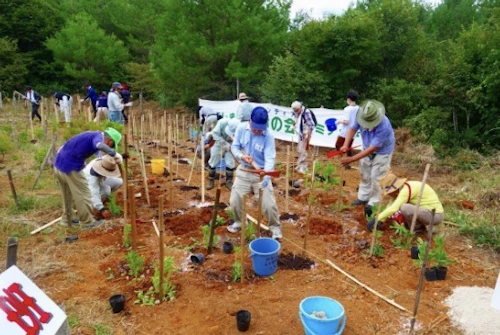 「山の日」祝日５周年記念植樹祭報告の活動写真
