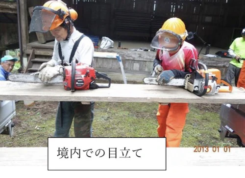 番外編現場セミナー：安全に木を伐る研修会（第1回）の活動写真