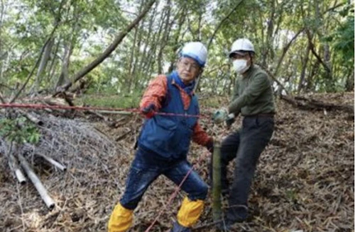 第 267 回現場セミナー　中小田古墳群の山林整備の活動写真