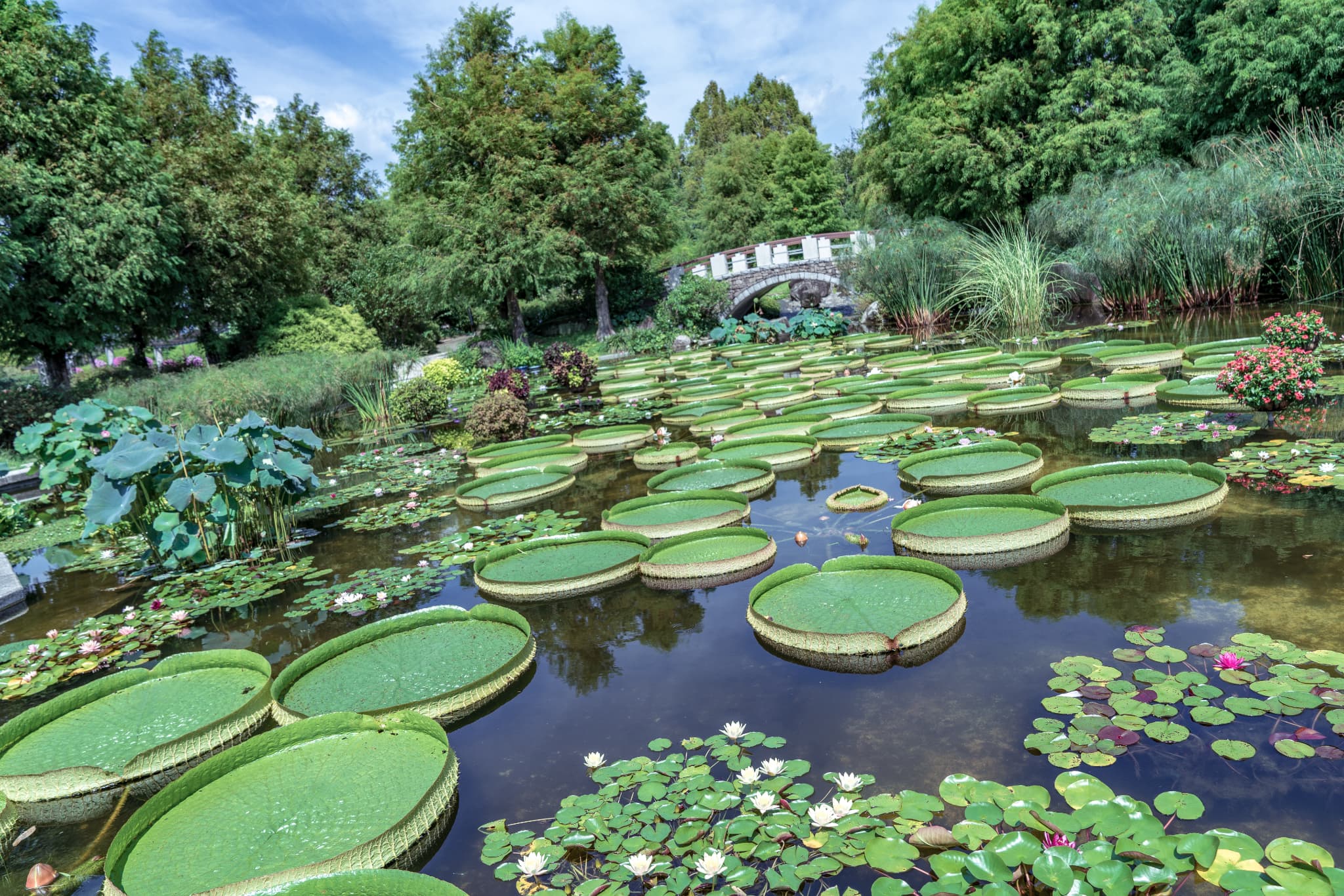 滋賀夫婦と恋のリアル ―植物公園とソフトクリーム編