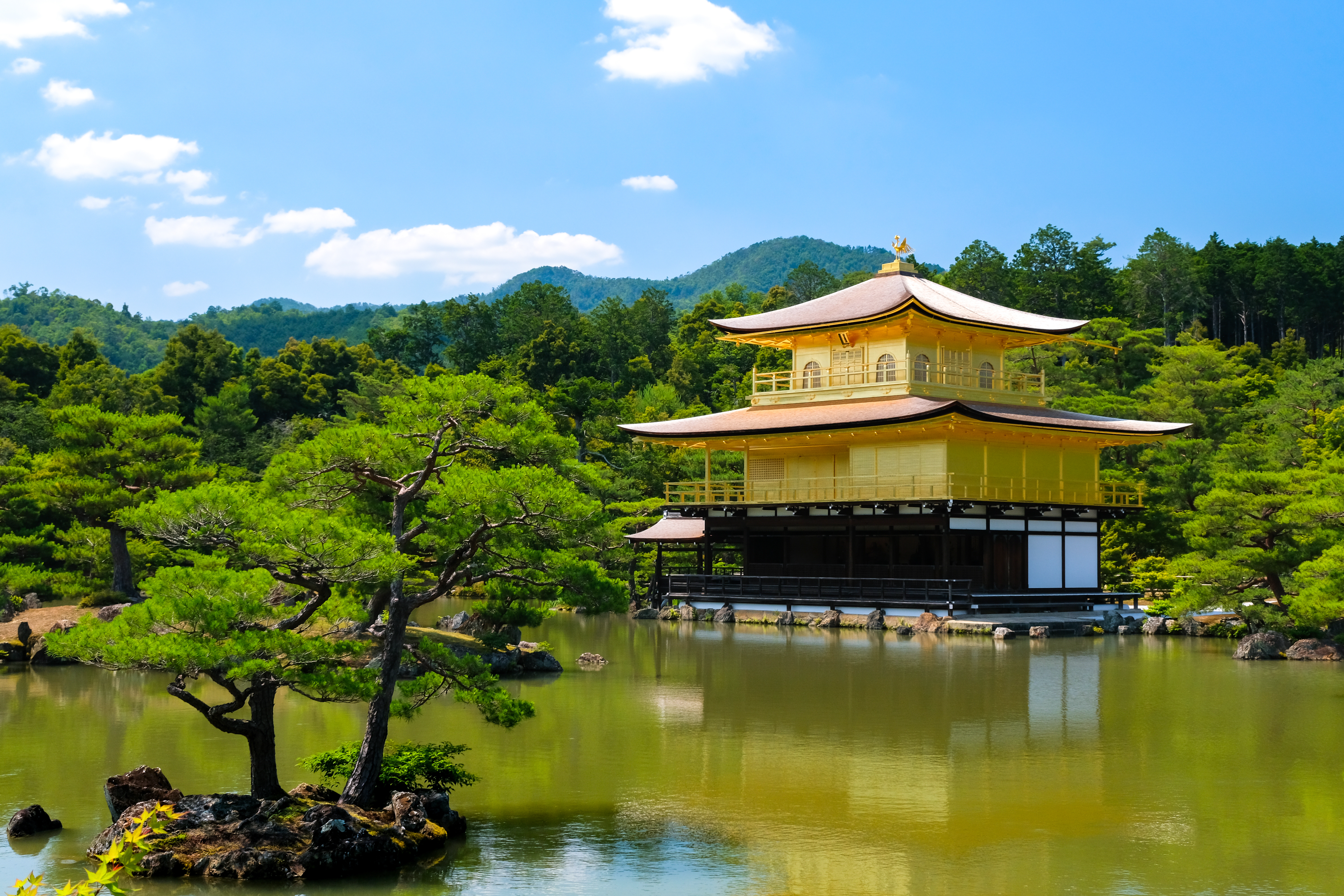 既婚者向け総合メディア Cuddle Column とは