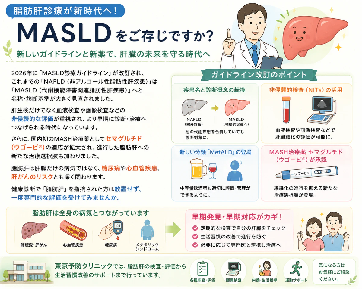 脂肪肝診療が新時代へ ― MASLDをご存じですか？