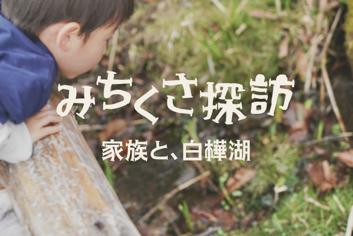 みちくさ探訪 家族と白樺湖 | SANU MAGAZINE