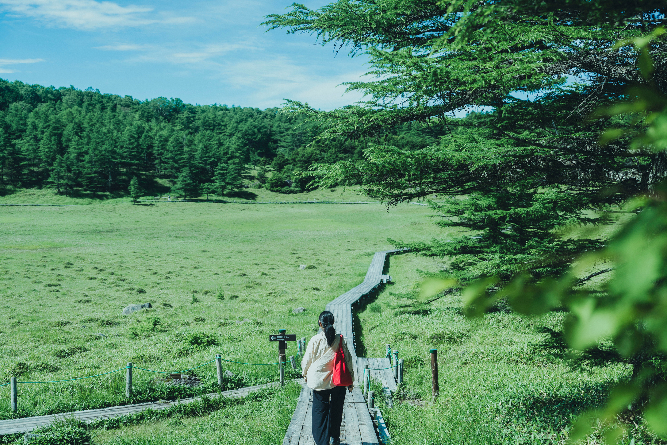 HIKE 軽井沢 | SANU 2nd Home Co-Owners