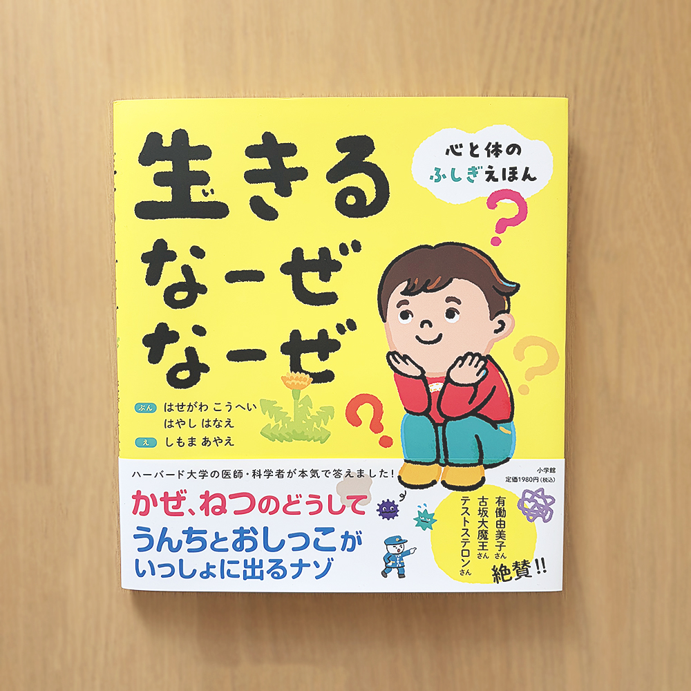 すくすく家庭教室 心と頭と体を育てる 発達本図鑑児童書幼児書教育本療育 すくすく家庭教室 心と頭と体を育てる 発達本図鑑児童書幼児書教育本