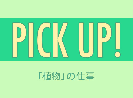 PICK UP！　「植物」の仕事
