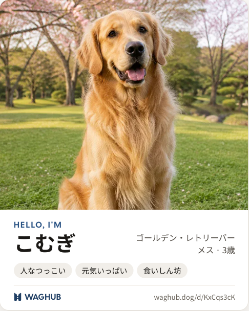 「写真主役」のカード。大きな写真の下に名前・犬種・性格タグと紹介ページのURL