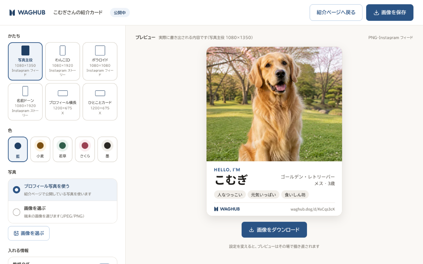 カード作成画面。左にかたち・色・写真の選択、右に完成イメージのプレビュー