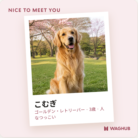 「ポラロイド」のカード。さくら色の背景に、斜めに置いたポラロイド風の写真と名前