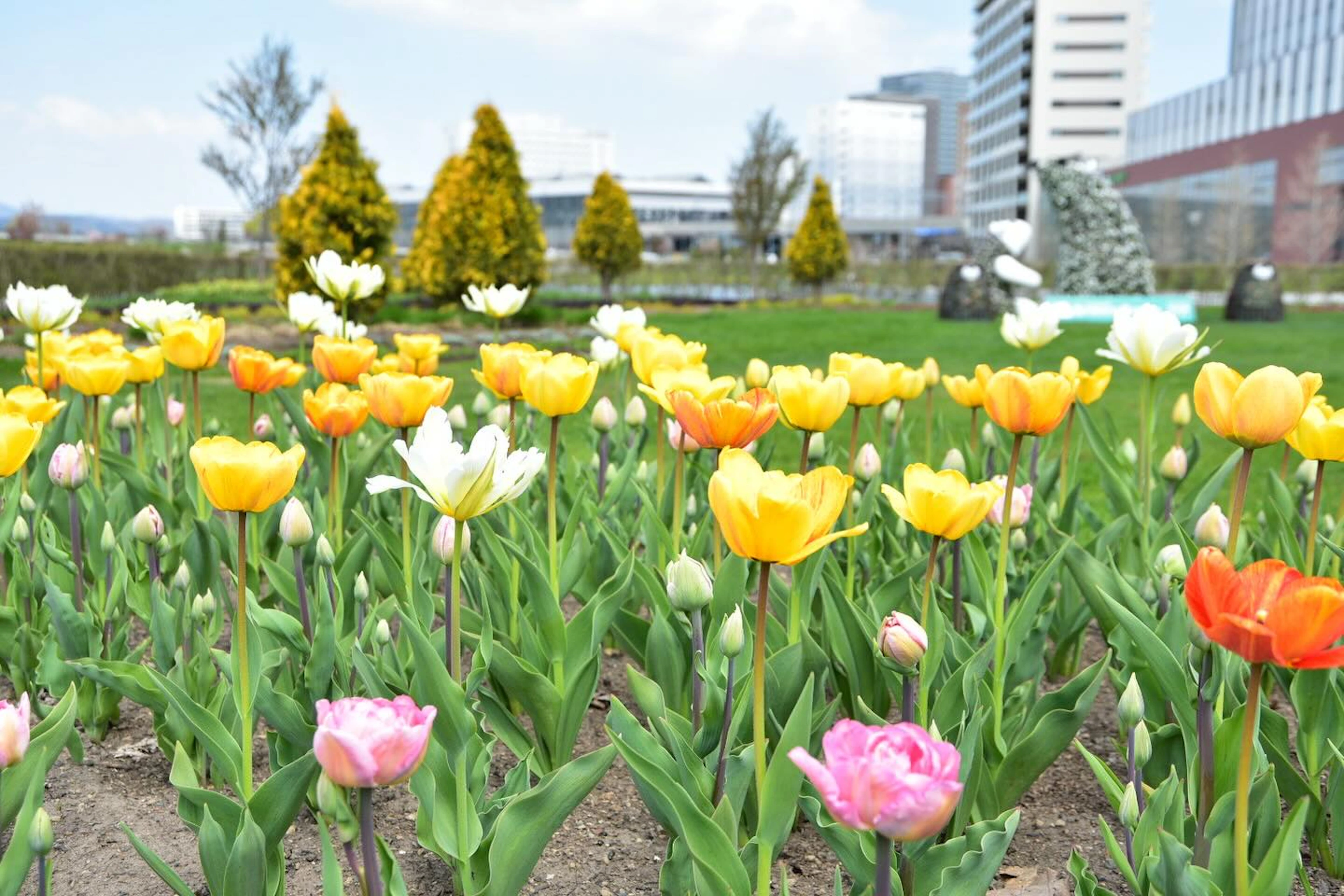 旭川の風景