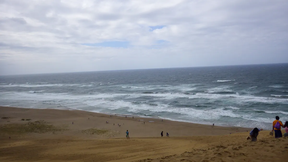 馬の背の上から見た日本海