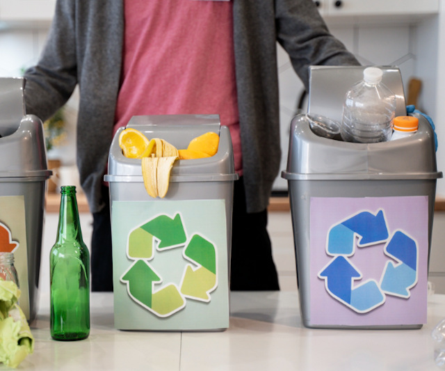 生ごみ処理機の選び方：初心者でも失敗しないポイントとは？