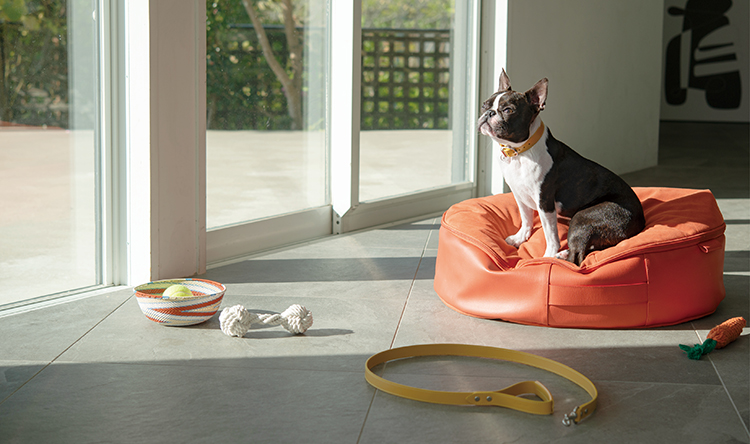 LEXUS ‐ LEXUS COLLECTION