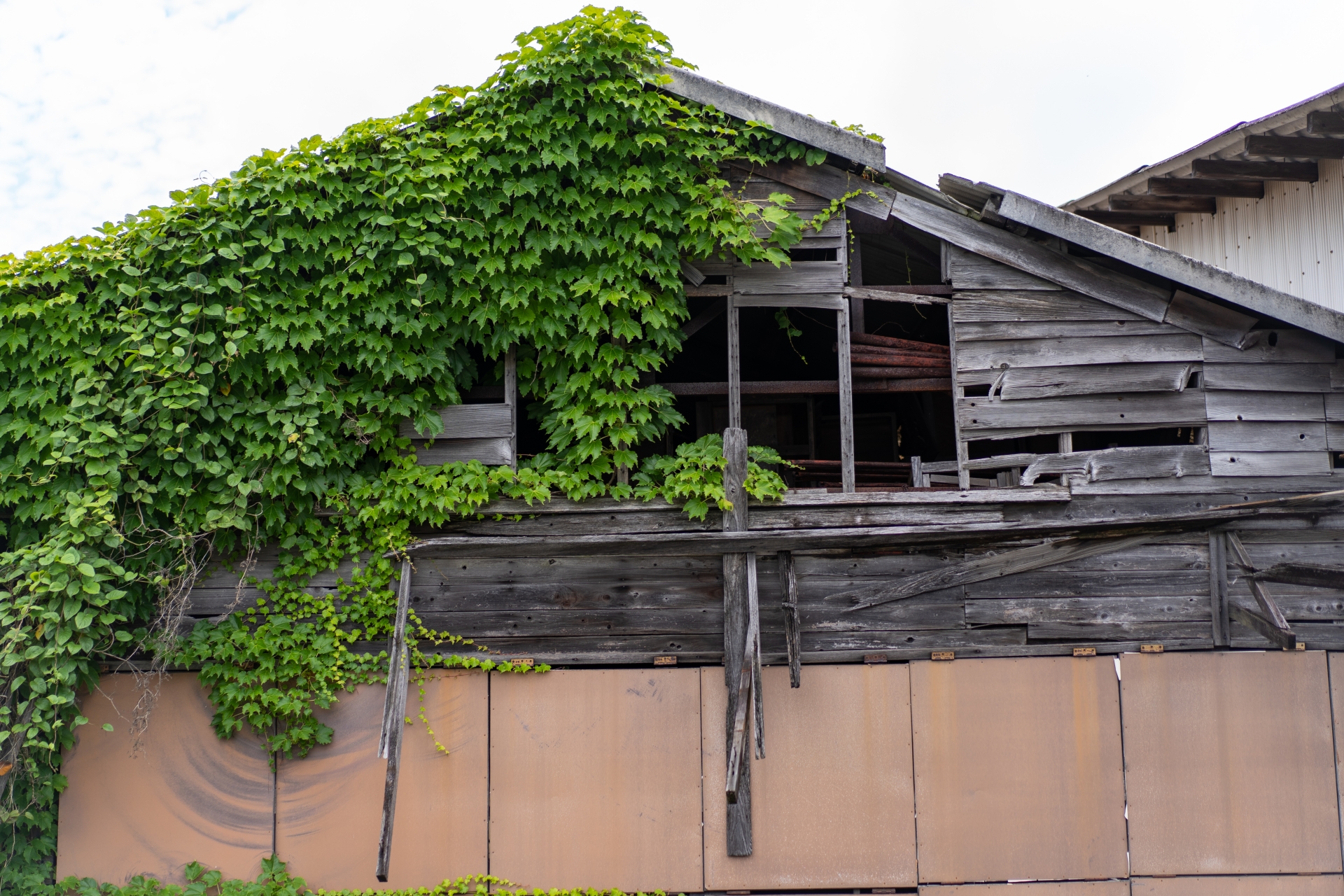 空き家管理のサービス画像