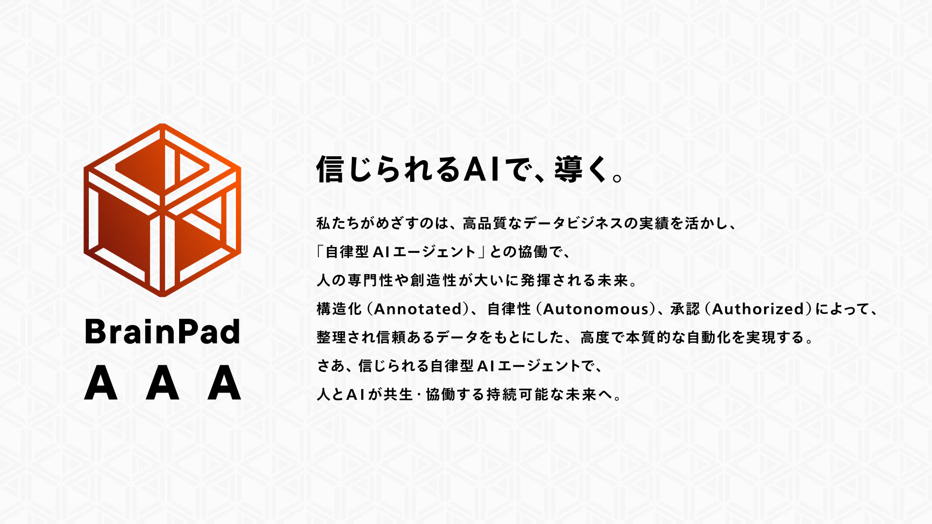 BrainPad AAA Corporate Branding