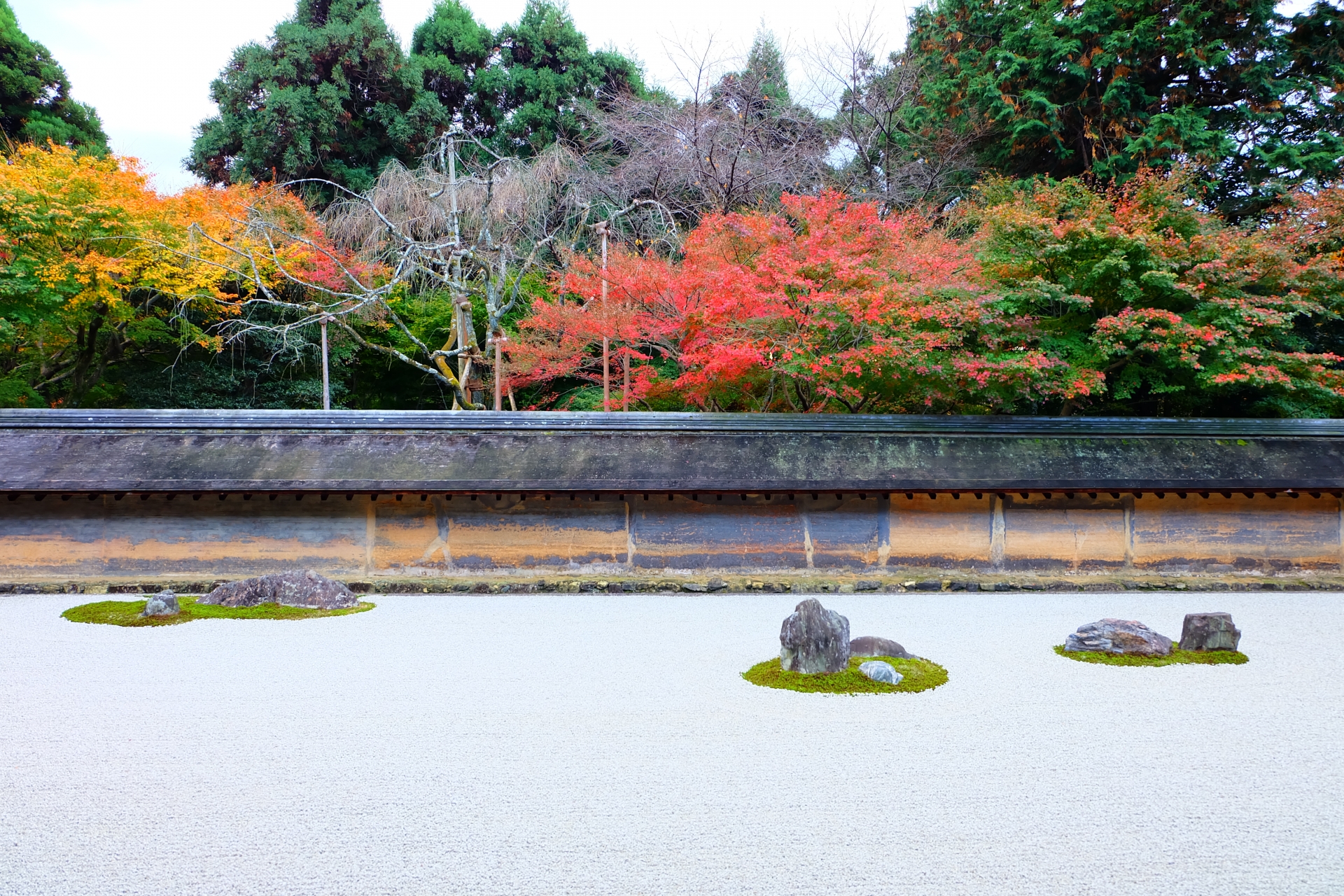 【京都風情の極み】思わず見惚れる美しい『石庭』で有名な京都のおすすめ寺院6選