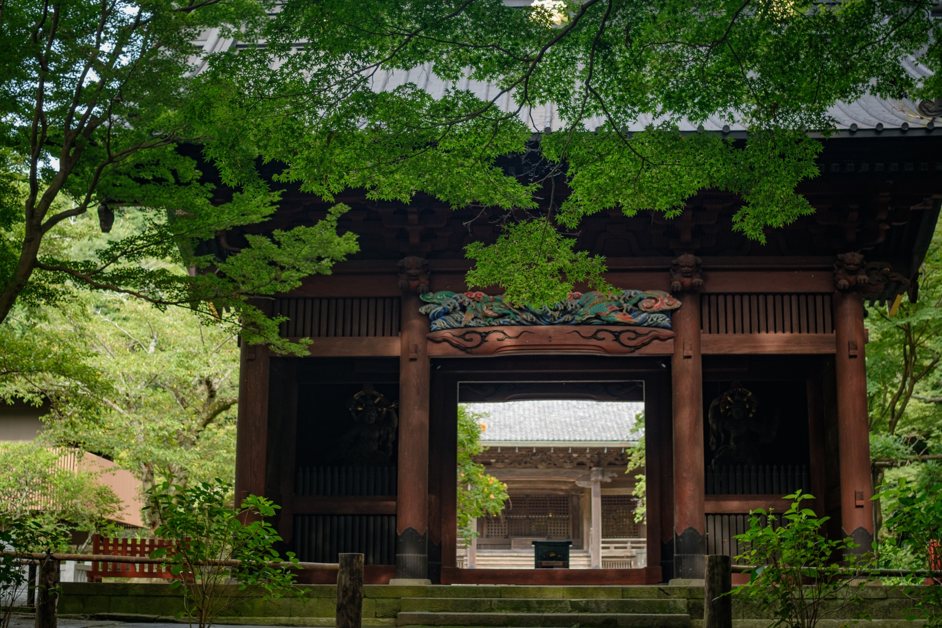 【2023年確定版】妙本寺の見どころ、おすすめ、アクセス情報【神奈川旅行】