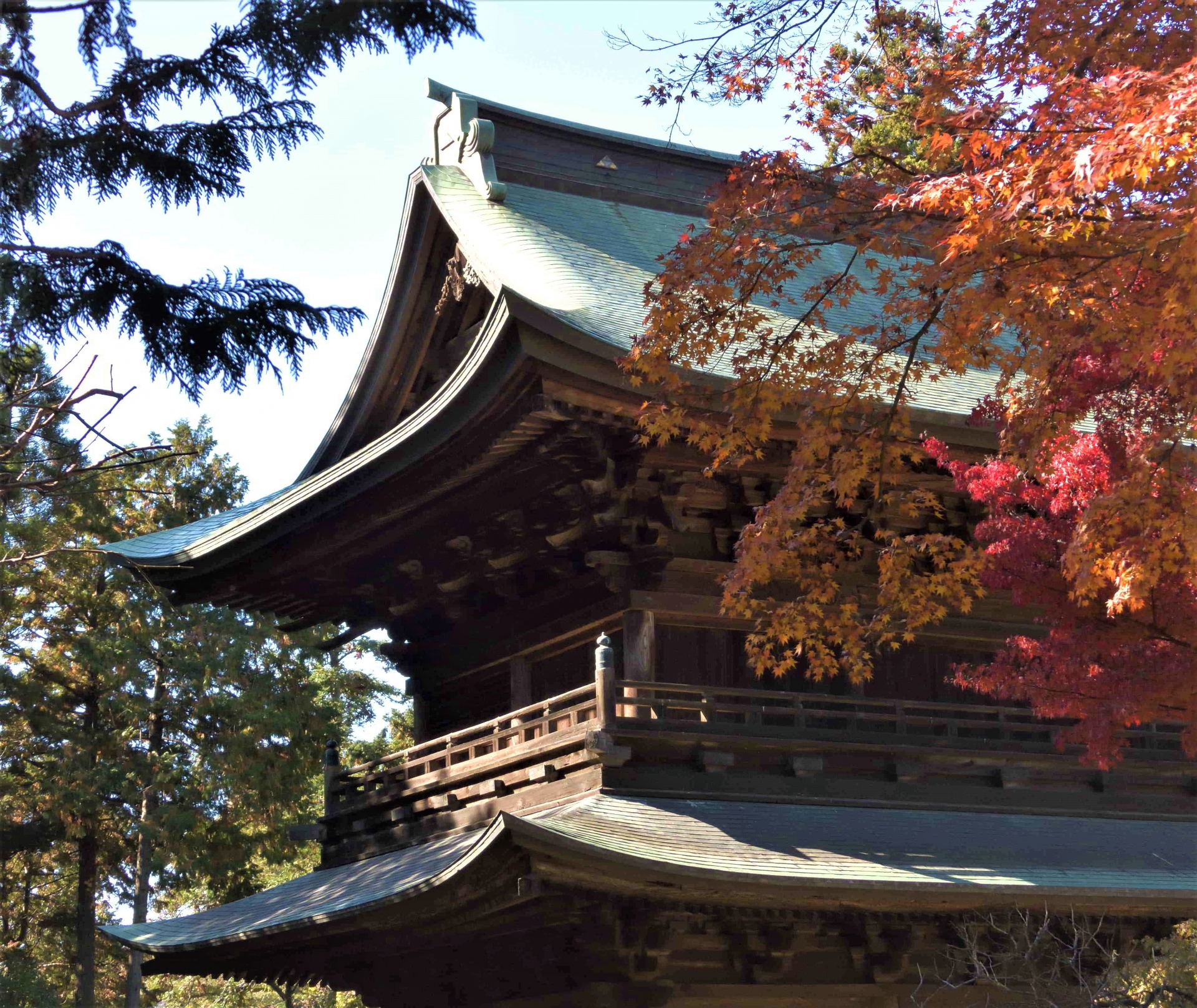 【2023年確定版】円覚寺の見どころ、おすすめ、アクセス情報【神奈川旅行】