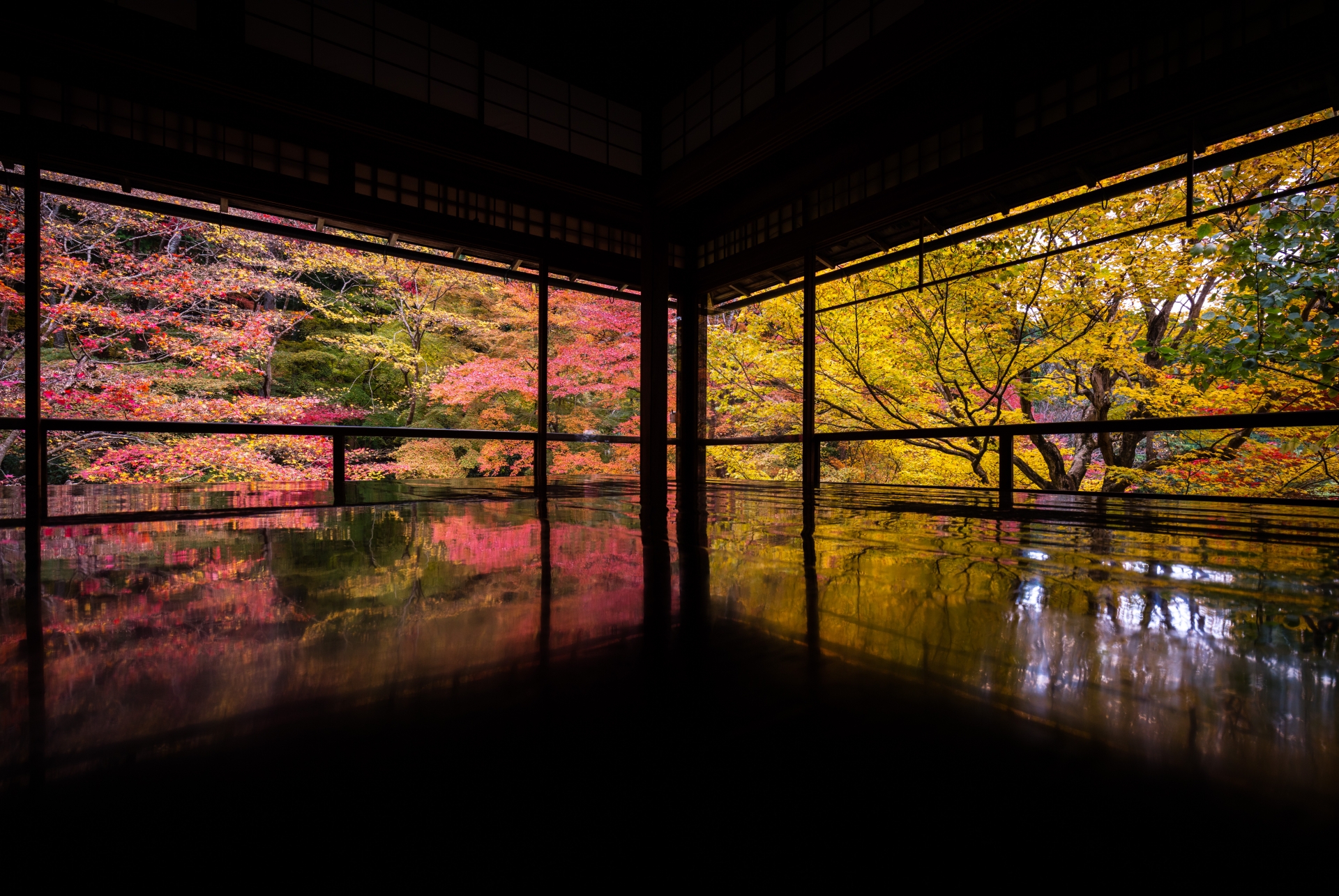 瑠璃光院の見どころ、おすすめ、アクセス情報【京都旅行】