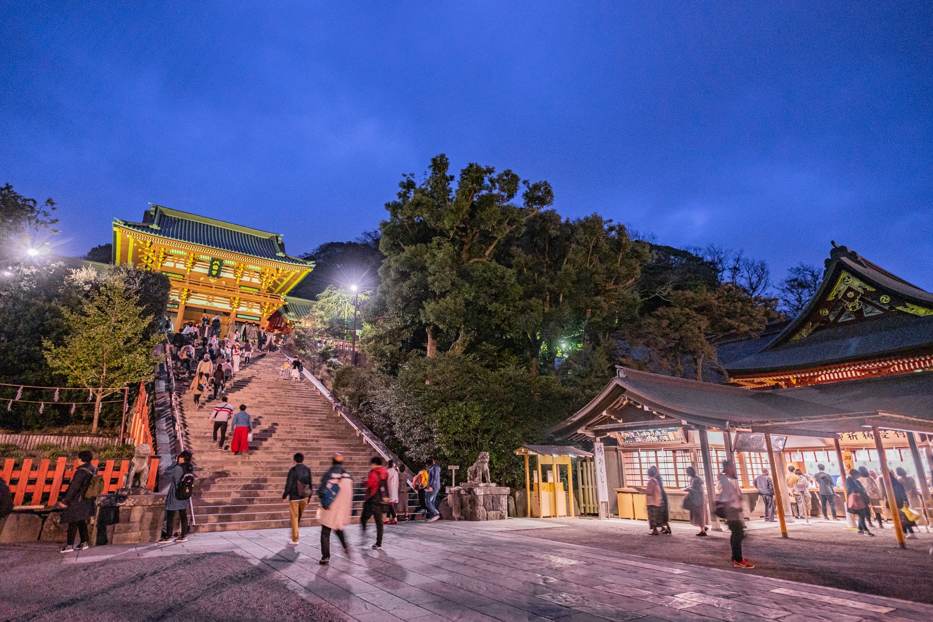 【2023年確定版】鶴岡八幡宮の見どころ、おすすめ、アクセス情報【神奈川旅行】