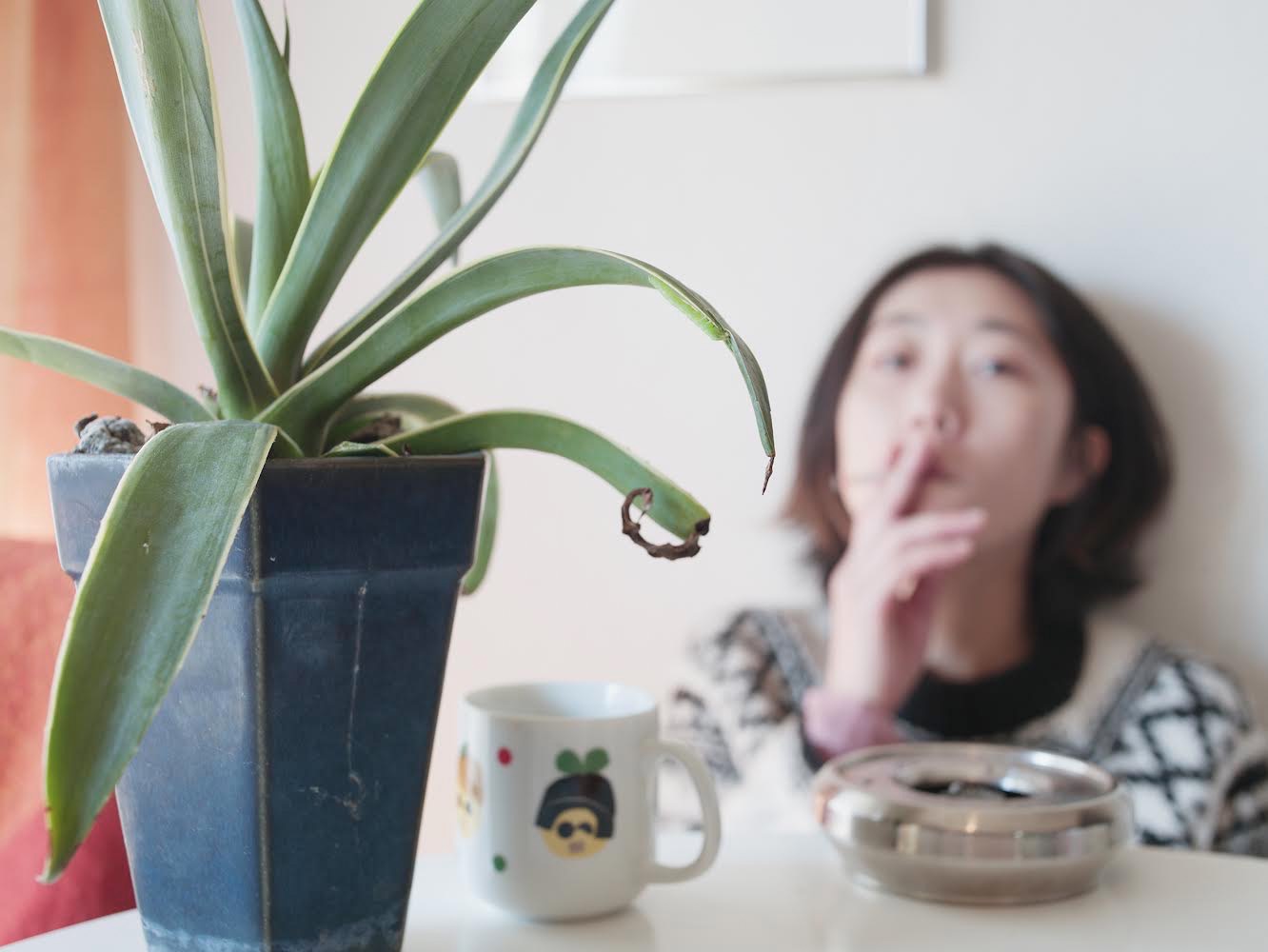 2024.02.05-02.11 | サムネイル画像