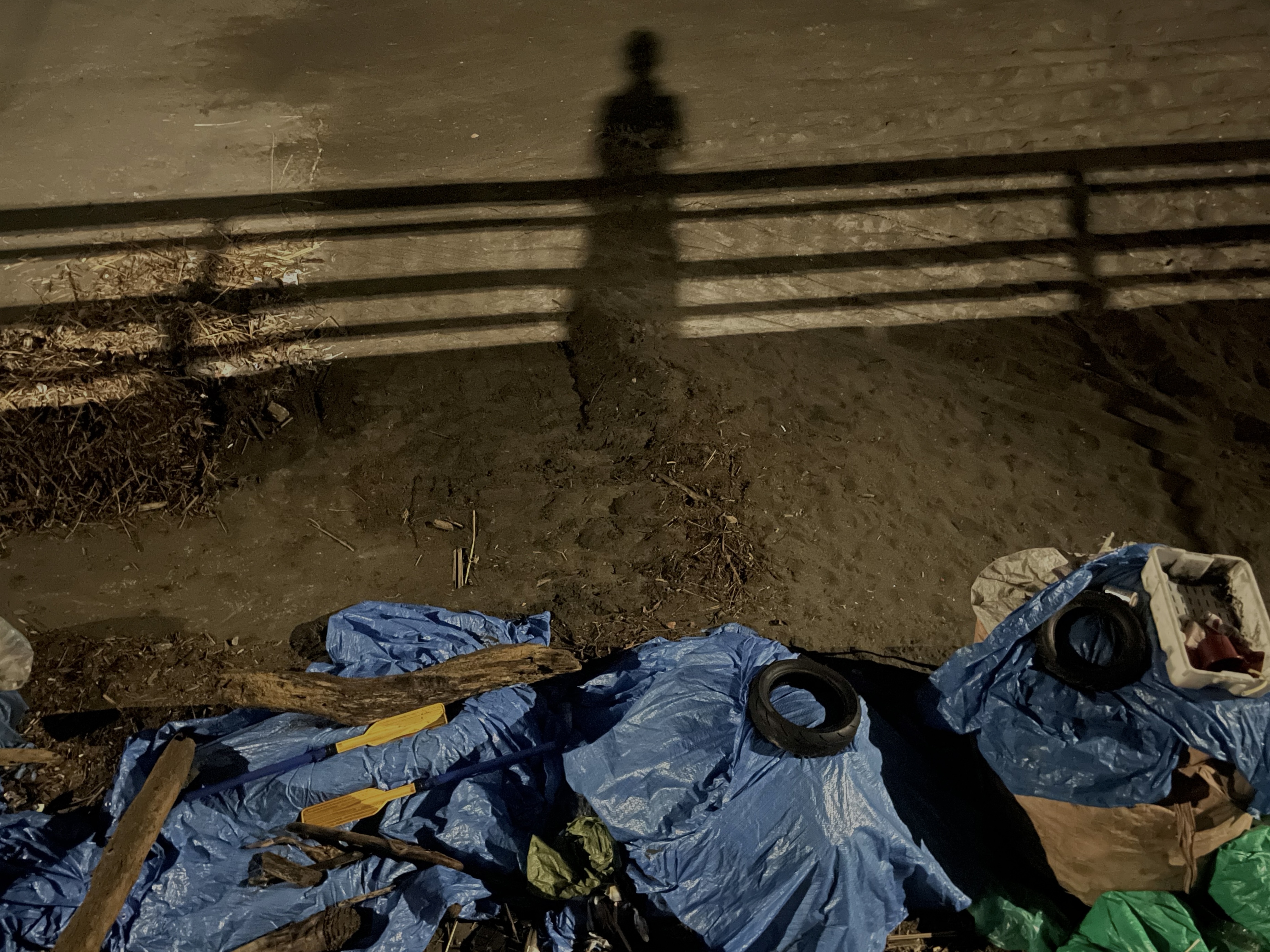 2024.07.22-07.28 | サムネイル画像