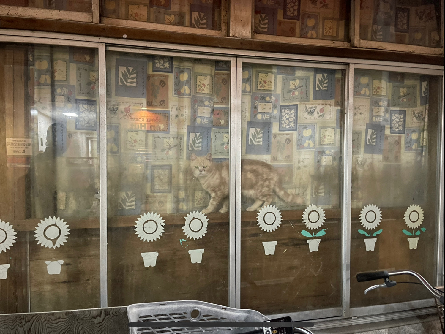 2023.10.16-10.22 | サムネイル画像