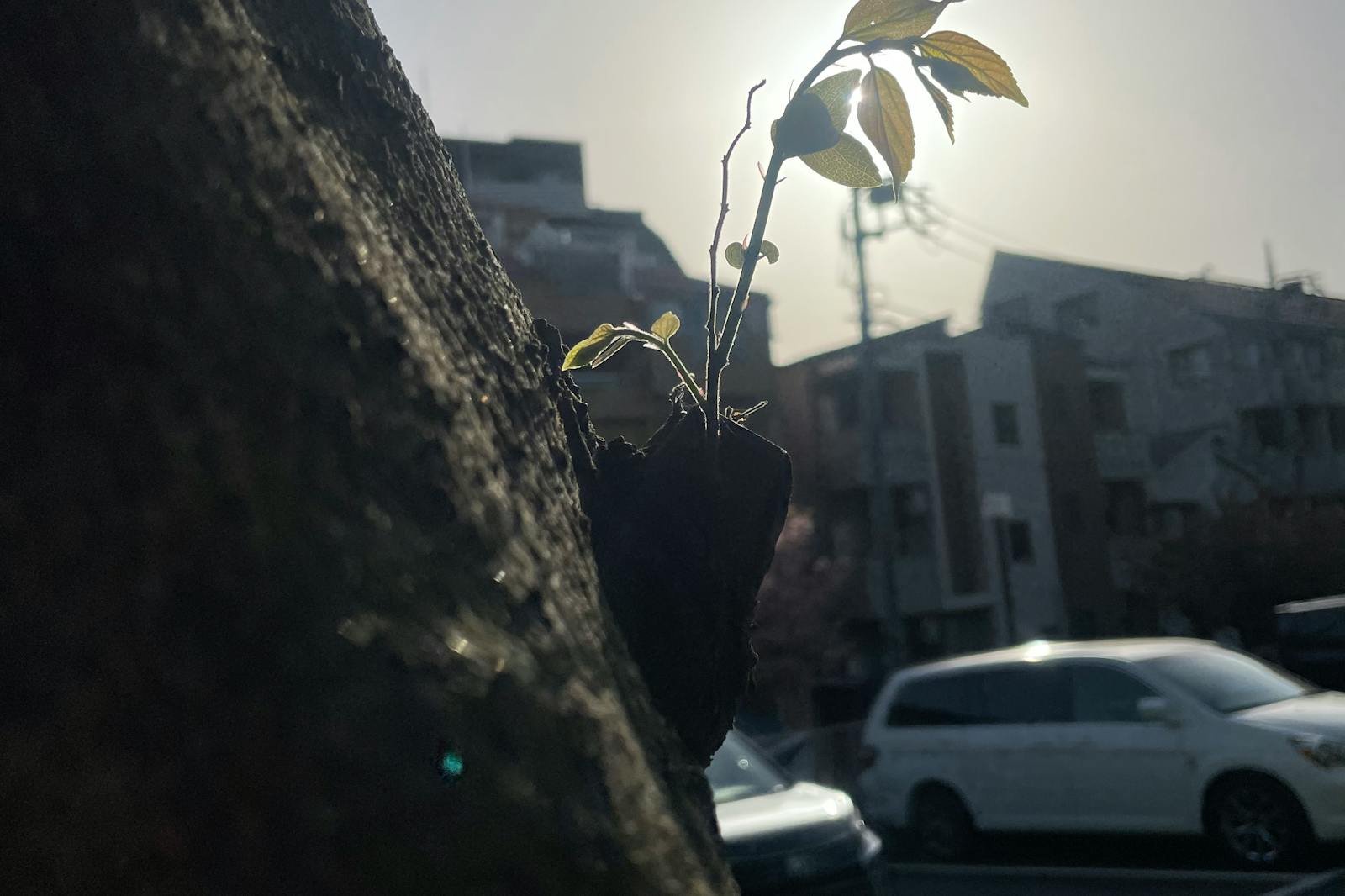 2023.04.10-04.16 | サムネイル画像