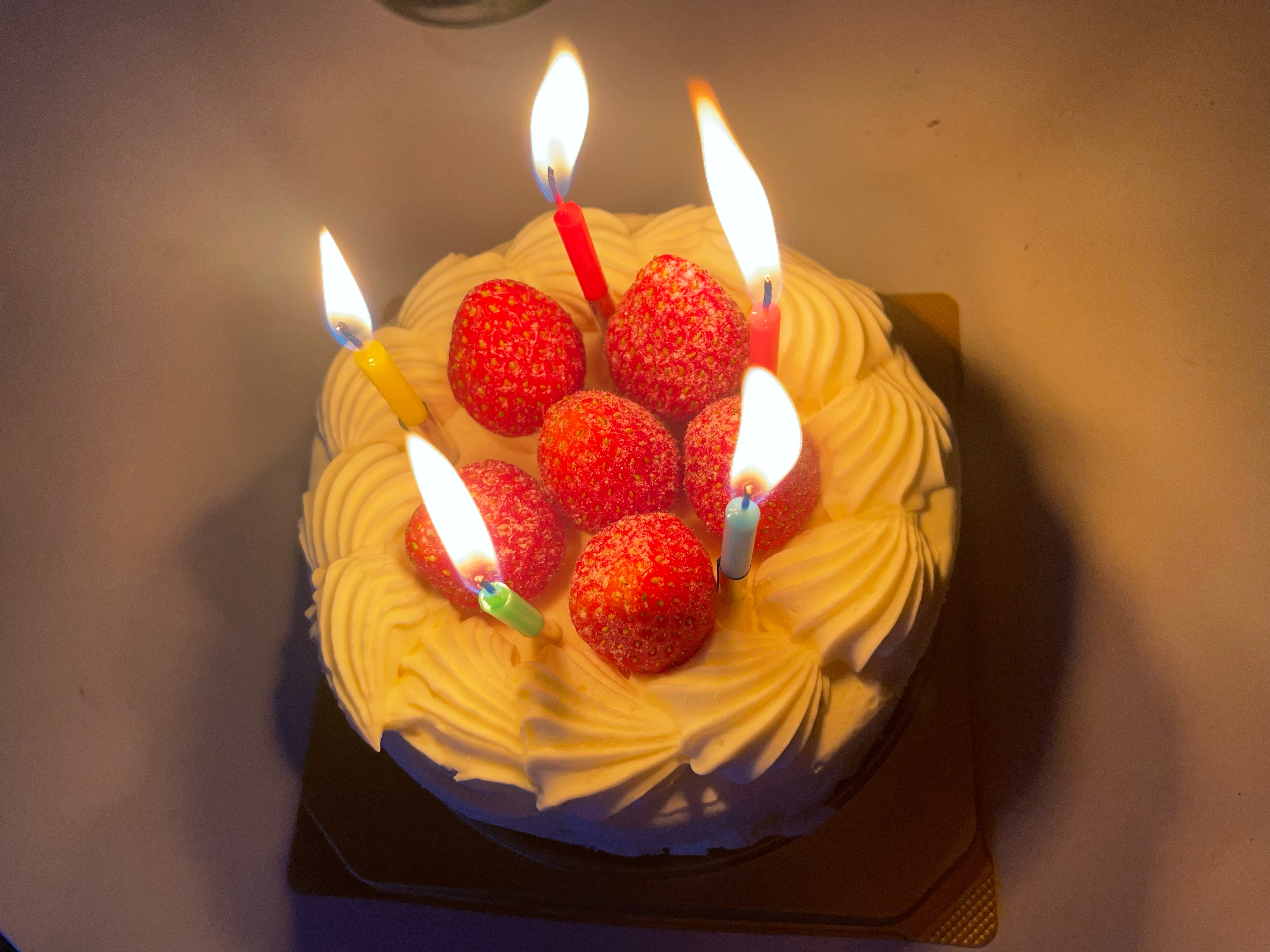 2024.12.09-12.15 | サムネイル画像