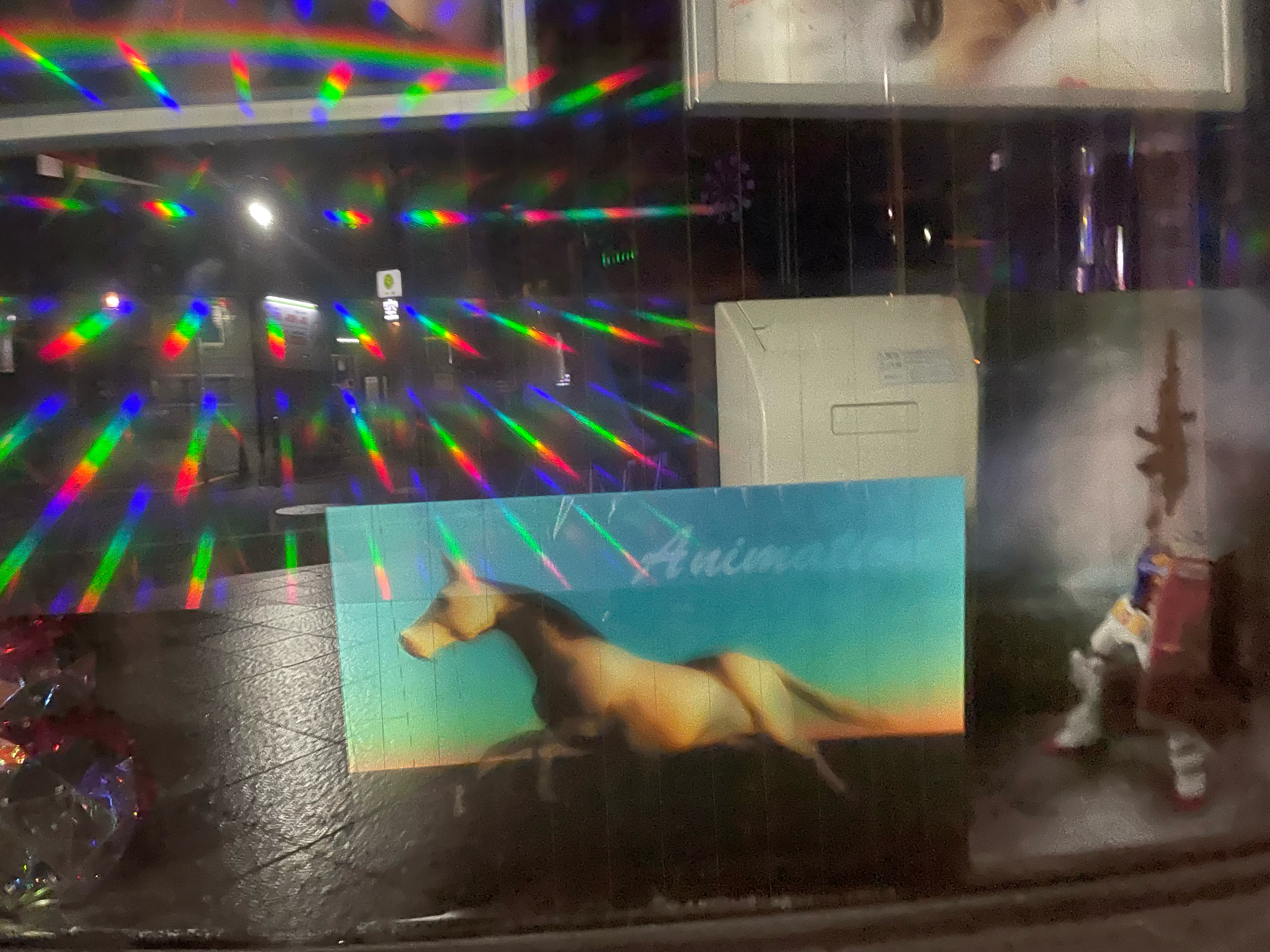 2024.08.08-08.14 | サムネイル画像