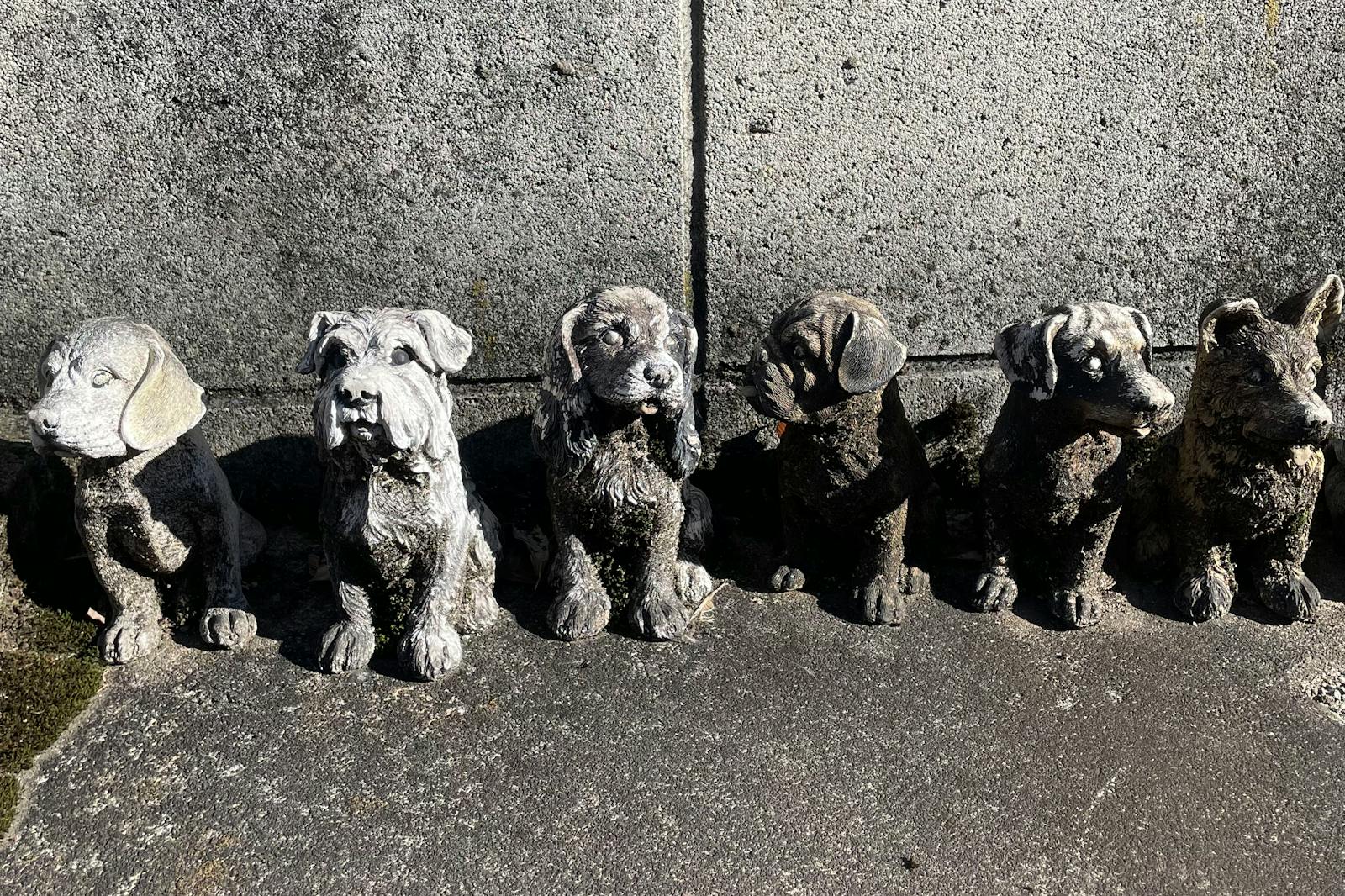 2024.12.02-12.08 | サムネイル画像