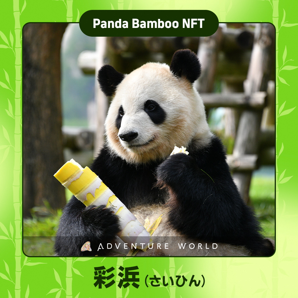 パンダバンブーNFT」を無料配布します！ | Panda Bamboo Project