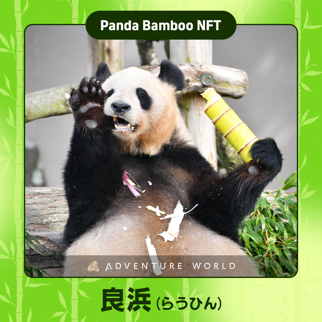 パンダバンブーNFT」を無料配布します！ | Panda Bamboo Project