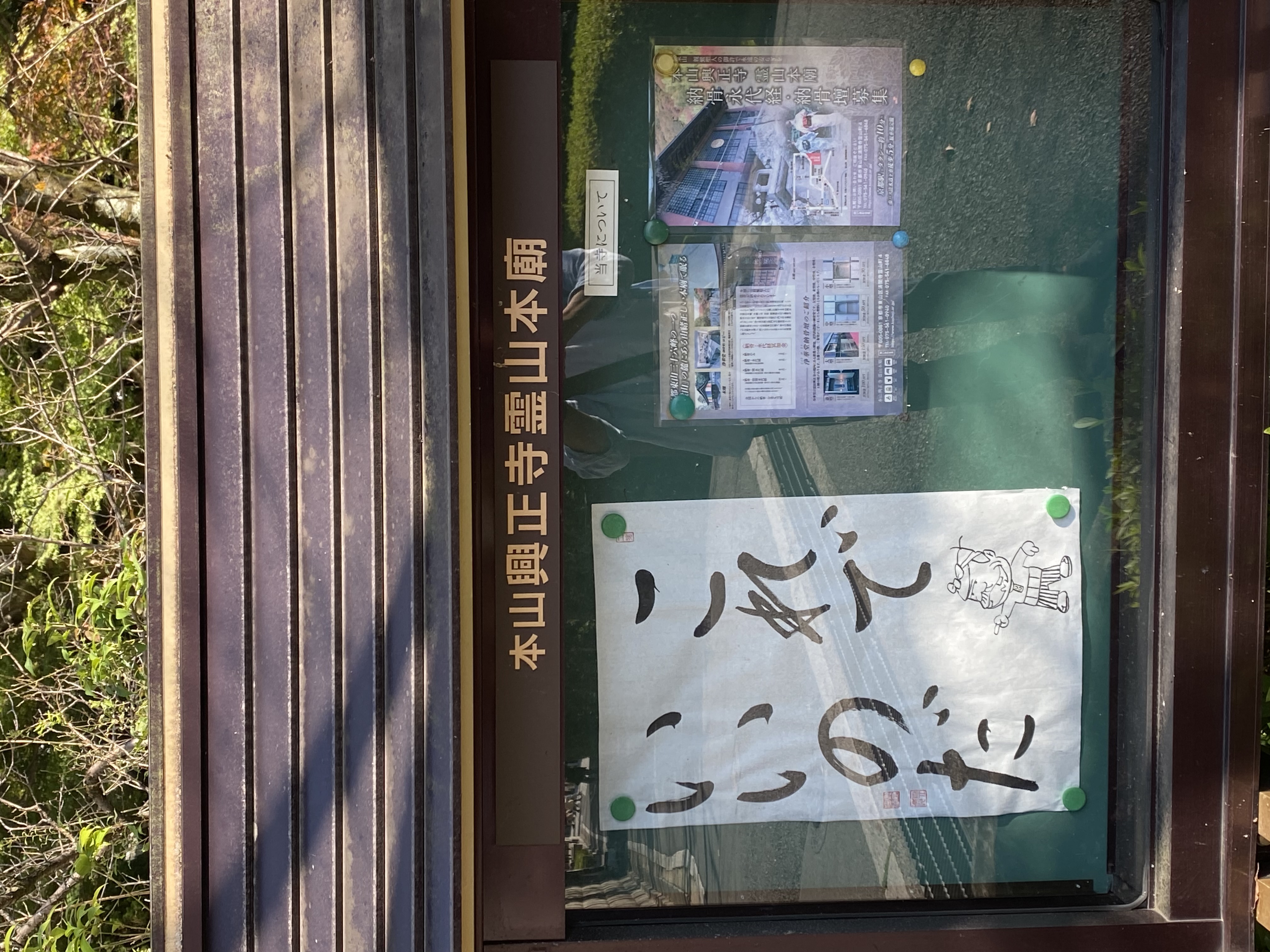２０２４年もよろしくお願いいたします。の写真