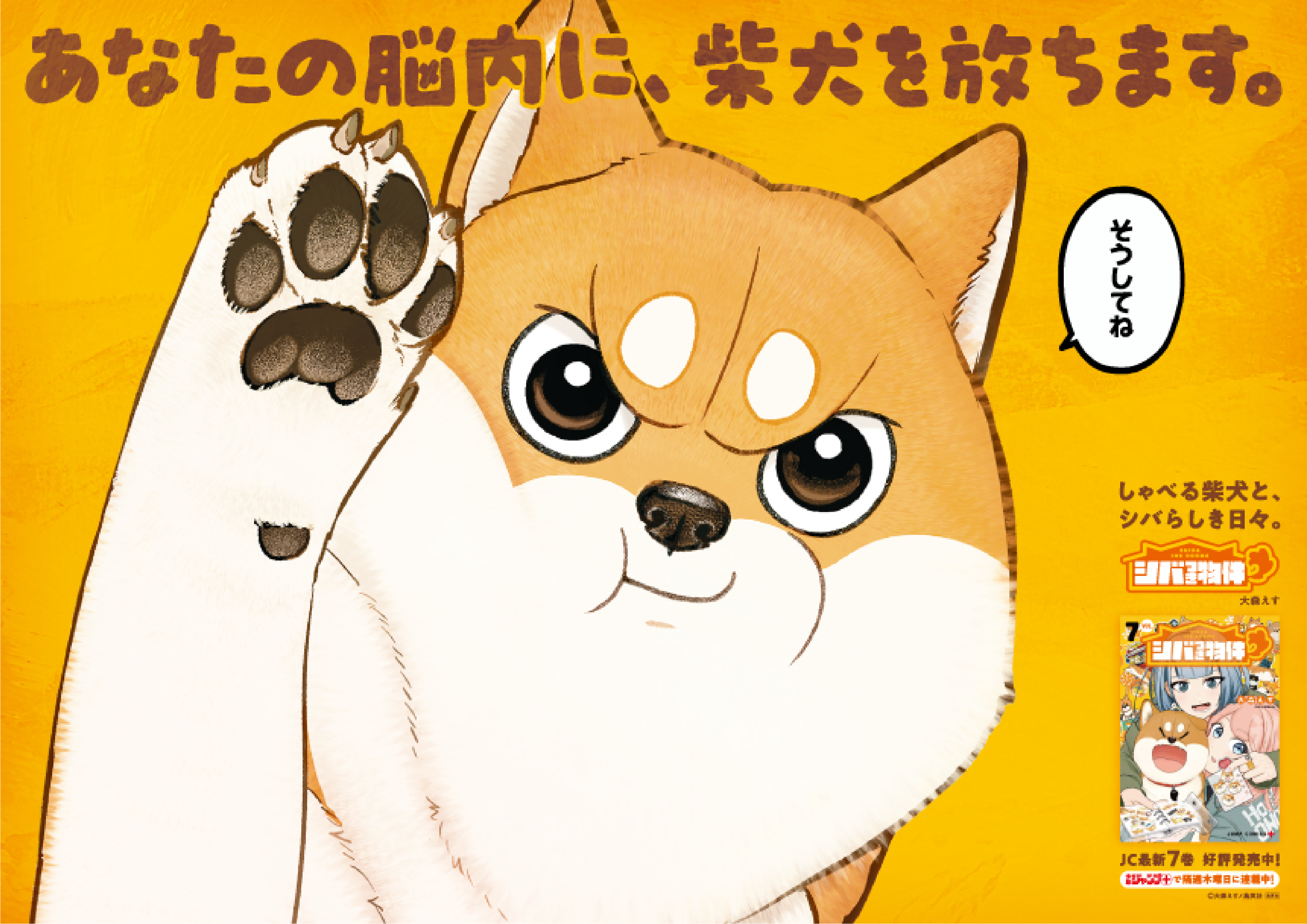 集英社　シバつき物件