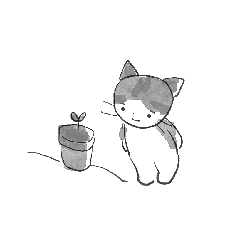 鉢植えを見ているねこ