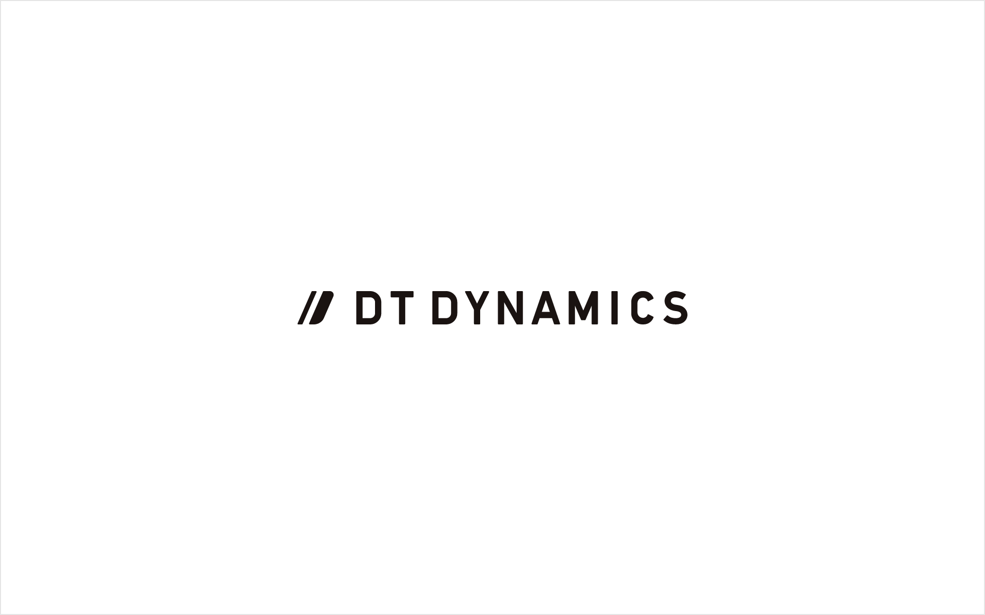 DT DYNAMICS corporate branding