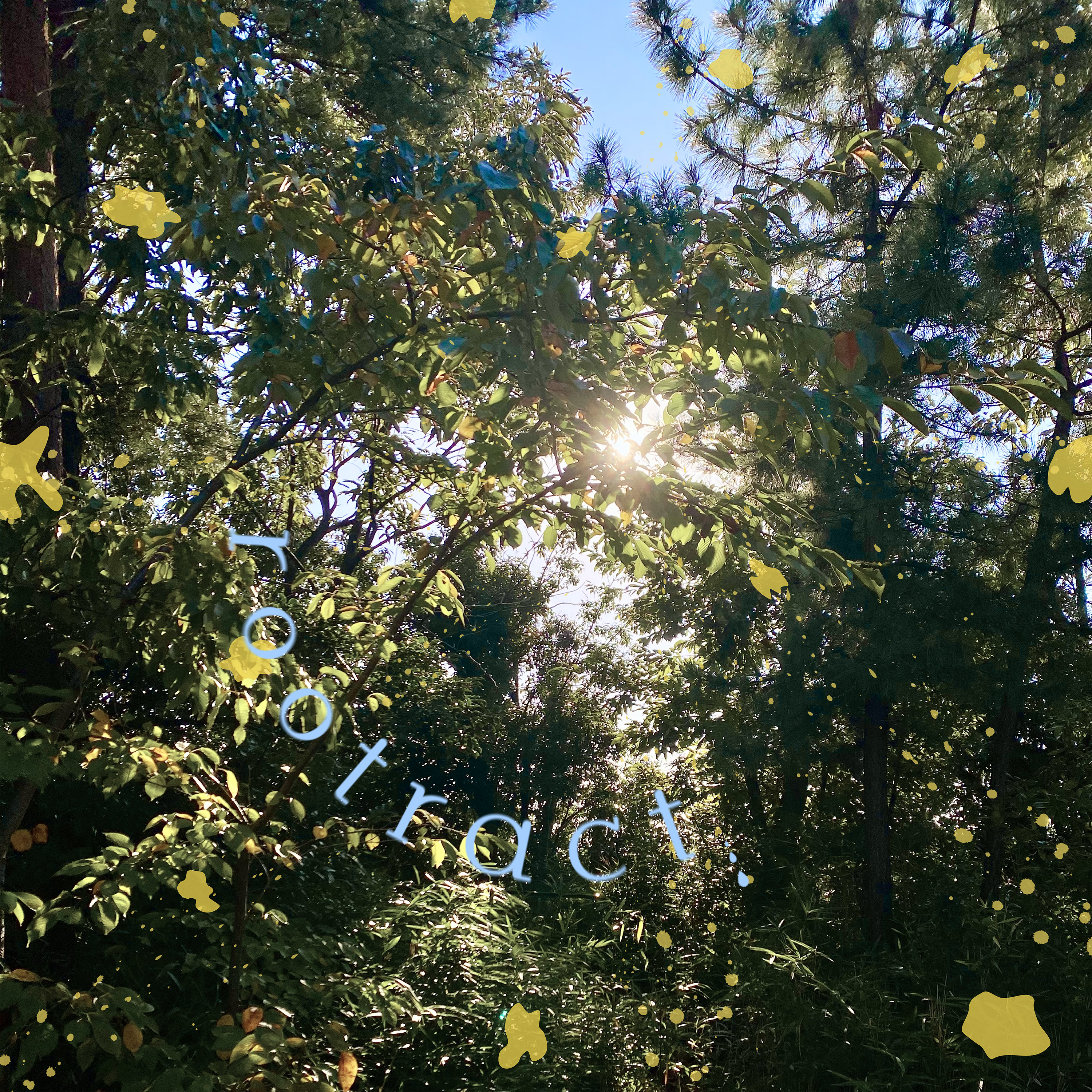test-zine