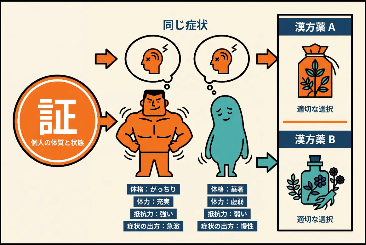 漢方の選択基準は証