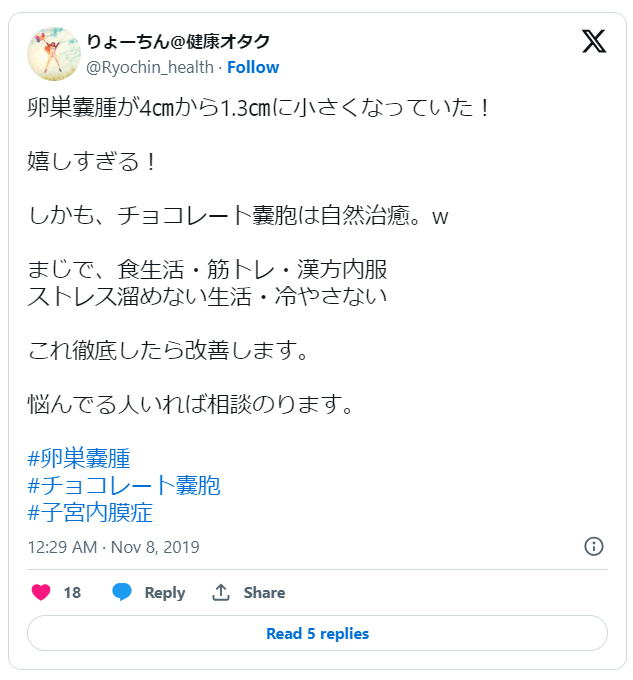 チョコレート嚢胞漢方2