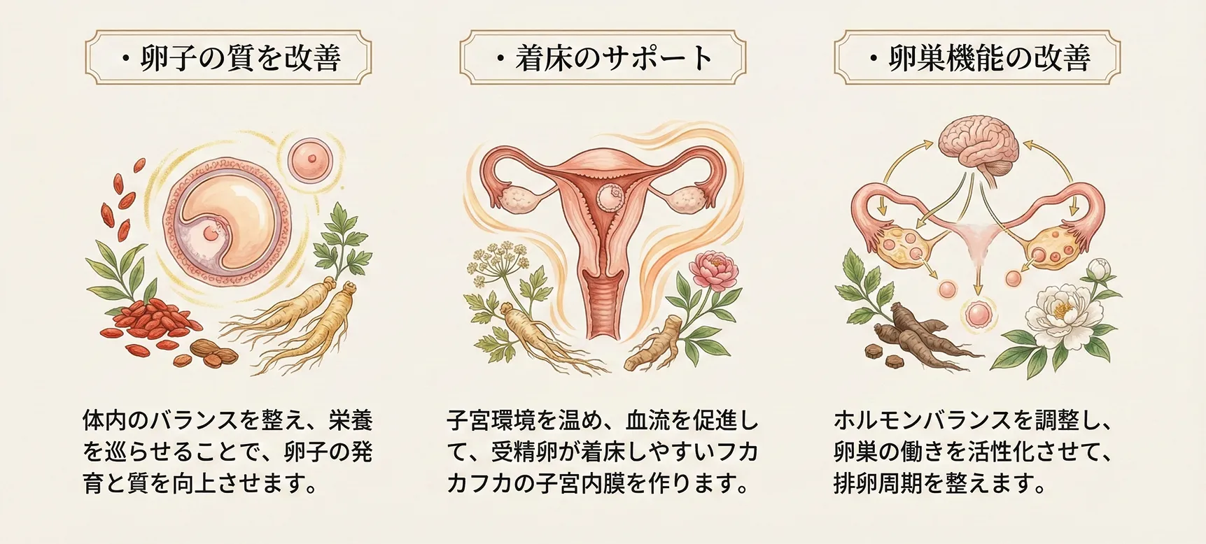 妊娠力を高めるのに漢方が効果的な理由