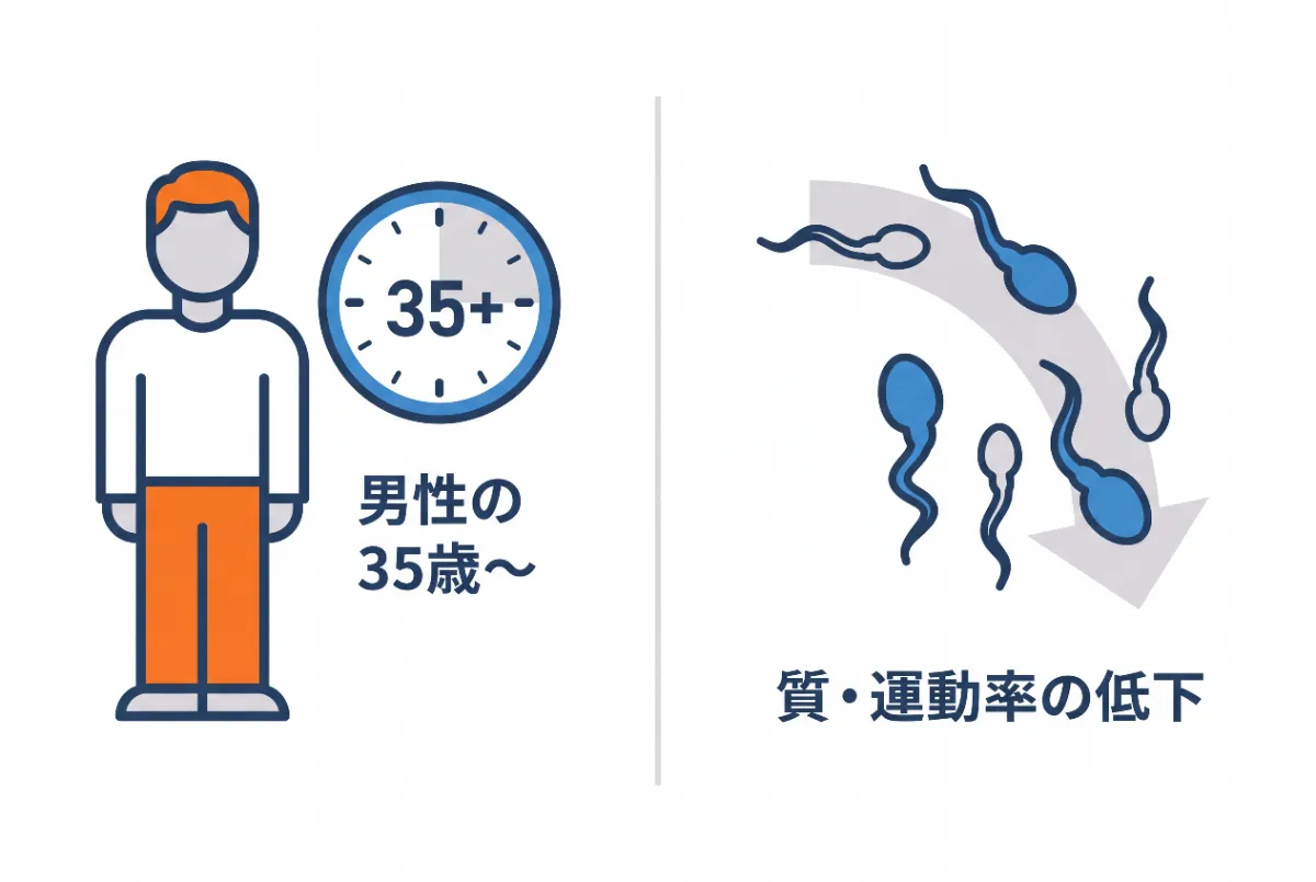 A simple minimalist vector illustration showing the effect of male age on sperm quality, split into