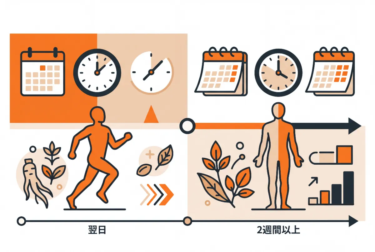当帰芍薬散の効果が出るのは2週間